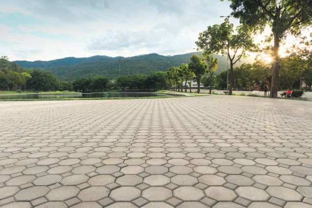 Best Local Driveway Pavers  in Fairfax Station, VA